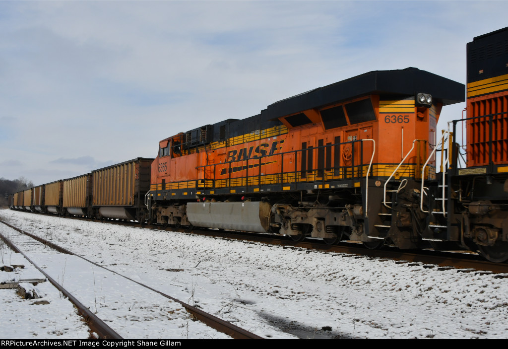 BNSF 6365 Roster shot